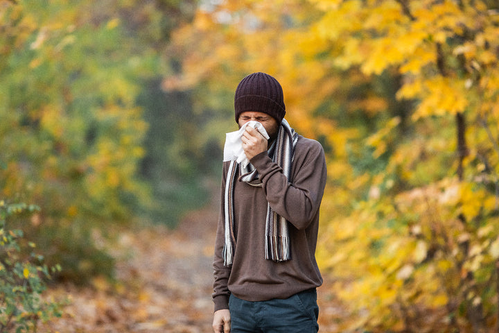 Beard Care During Allergy Season