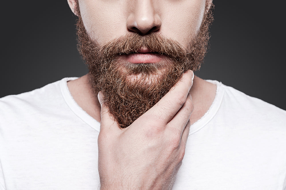 The 5 All-Time Most Loved Beards